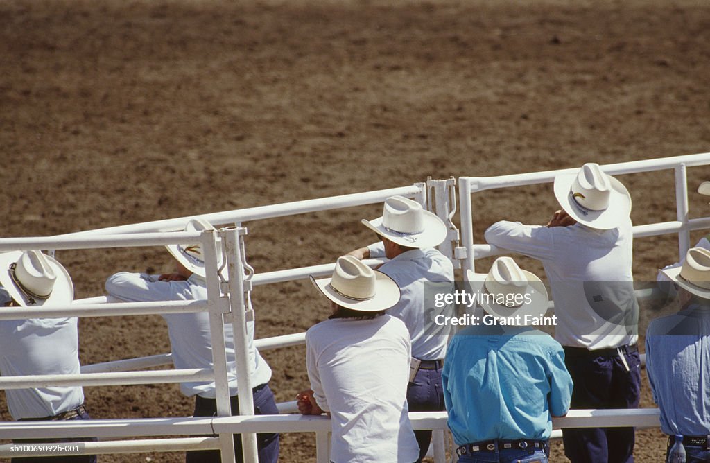 Cowboys watching Calgary stampede