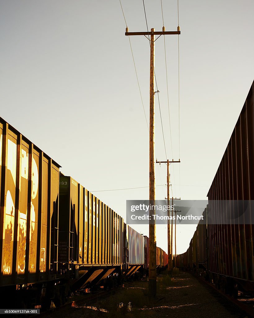 Power line and freight trains, sunlight