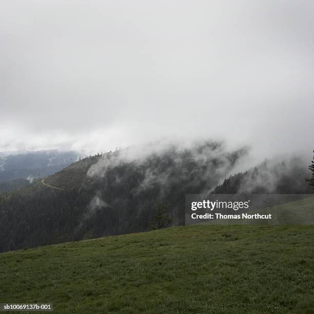 germany, schwarzwald, mountains in clouds - valley type stock pictures, royalty-free photos & images