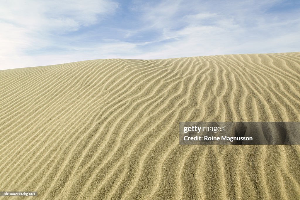 USA, California, Death Valley, sand dune