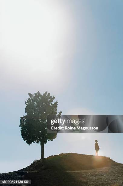 silhouette of tree and woman on top of hill - olive tree stock pictures, royalty-free photos & images