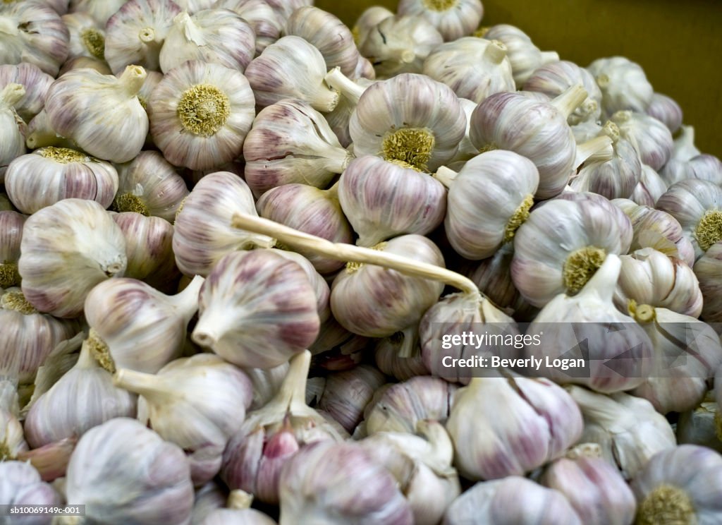 Pile of garlic