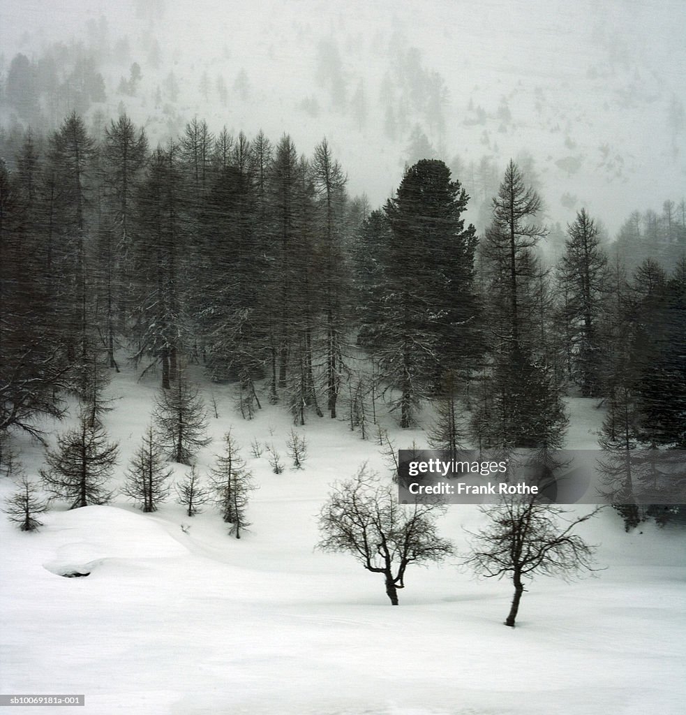 Switzerland, Snow covered landscape