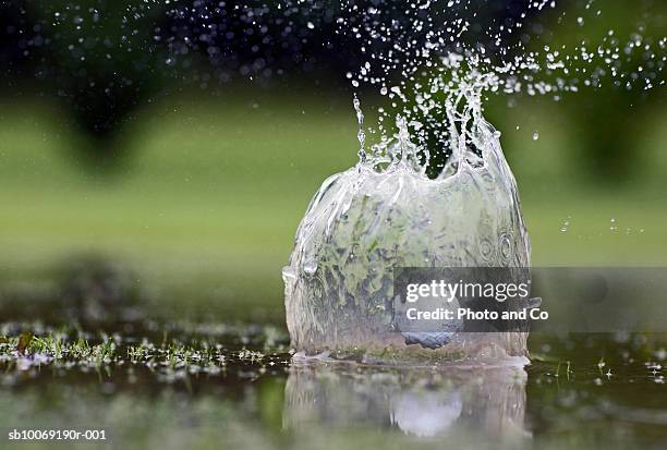 golf ball landing in pond, close-up - golfboll bildbanksfoton och bilder