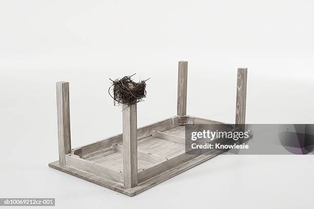 bird's nest on leg of table set upside down against white background - upside down stock pictures, royalty-free photos & images