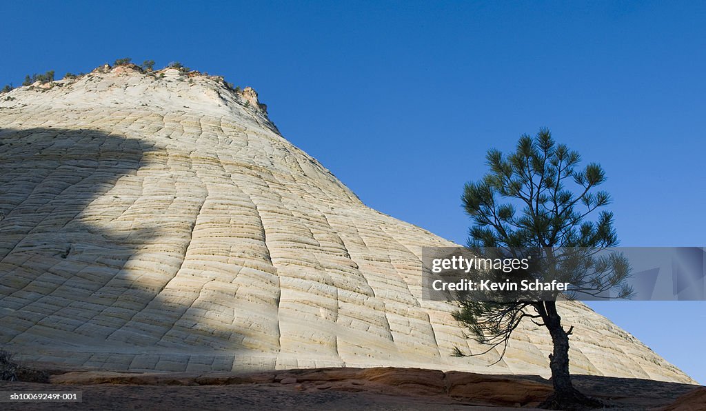 USA, Utah, Zion National Park, Checkerboard Mesa