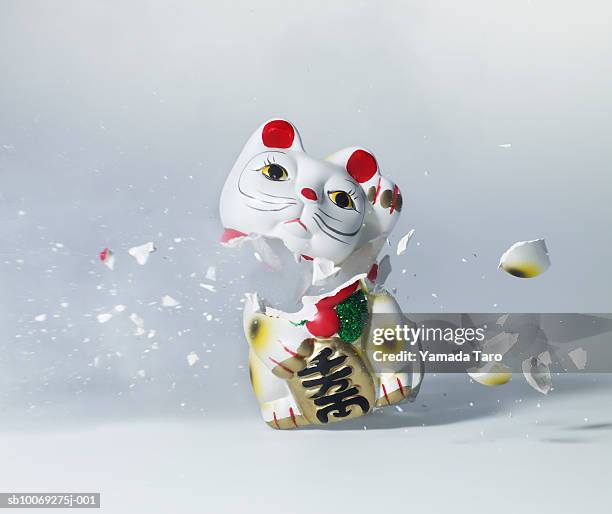 maneki neko exploding, close-up - maneki neko stock pictures, royalty-free photos & images