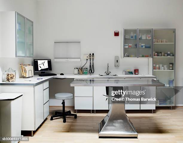 veterinarian examination room, digital xray on monitor screen - tierklinik stock-fotos und bilder