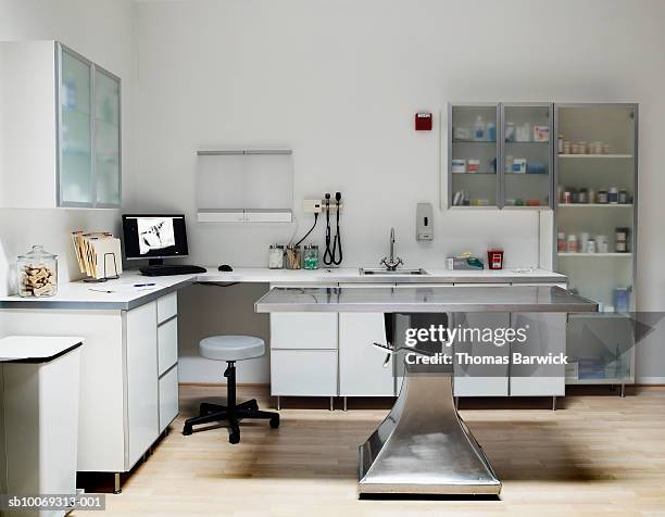 veterinarian examination room, digital xray on monitor screen - examination table stock pictures, royalty-free photos & images