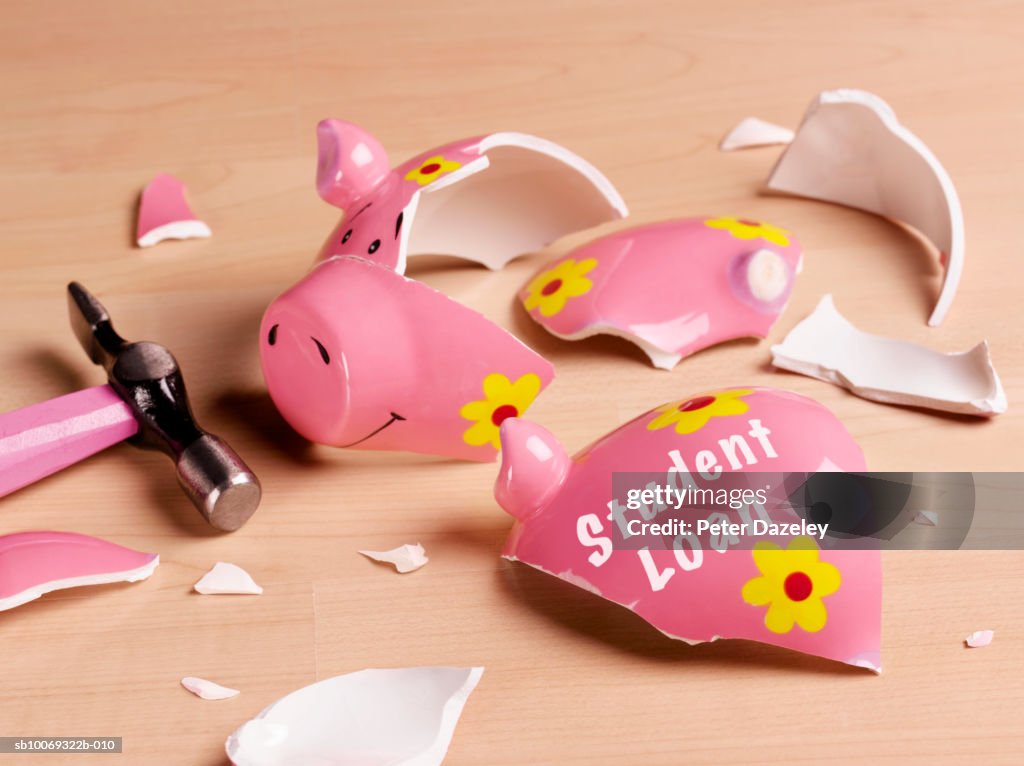 Broken piggy bank, studio shot