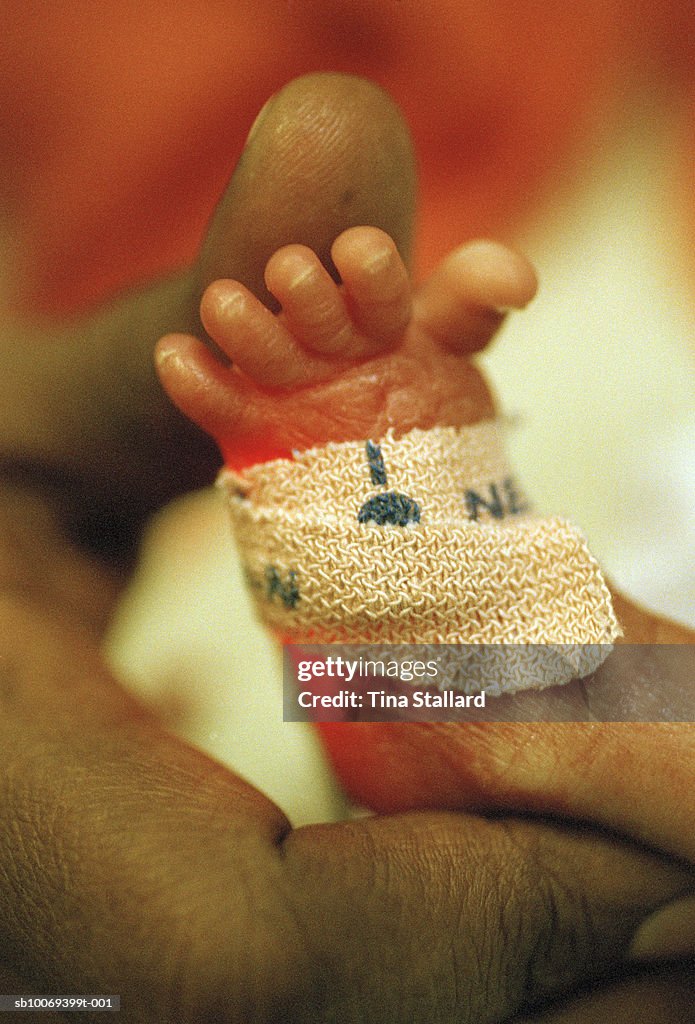 Person holding premature baby's leg, close-up