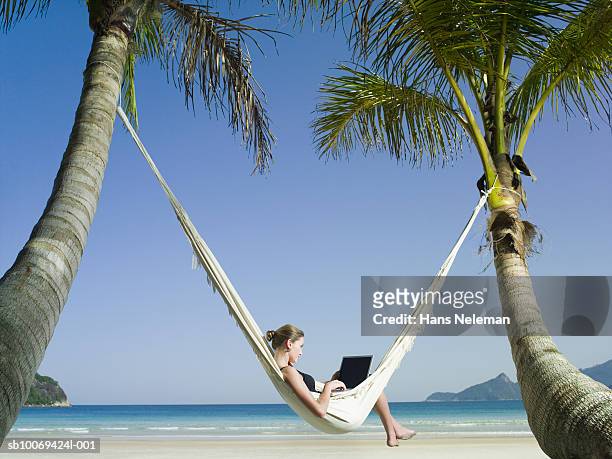 businesswoman in hammock using laptop - solo una donna giovane foto e immagini stock