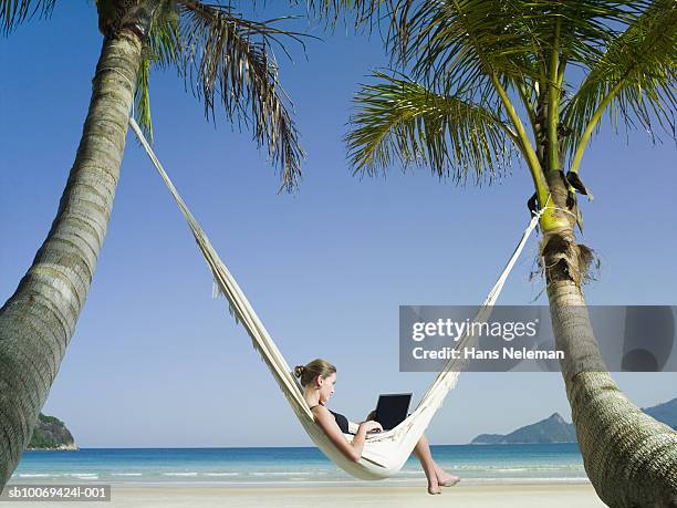 businesswoman in hammock using laptop - hammock stock pictures, royalty-free photos & images