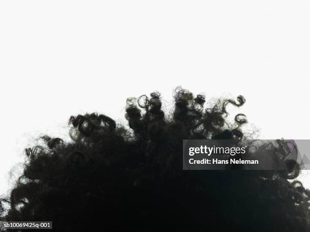 young woman's curly hair, studio shot - afro stockfoto's en -beelden