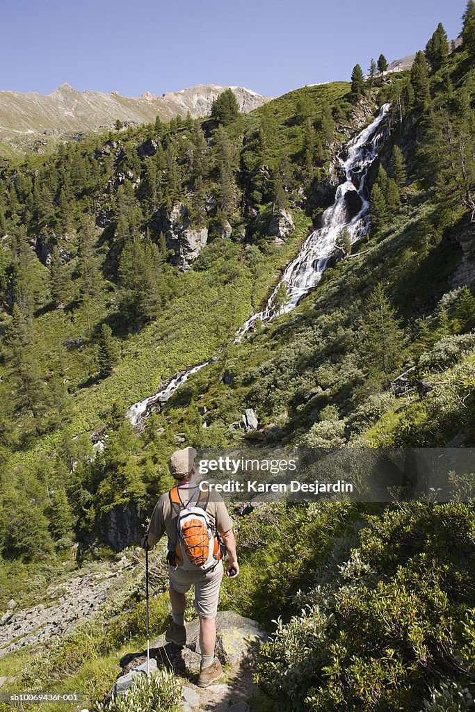 Switzerland, Canton of Valais, Swiss Alps, Hiker walking on mountain trail, rear view