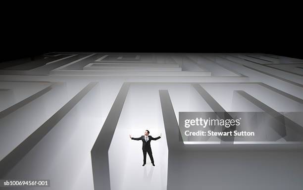 man trapped in giant maze - spelregels stockfoto's en -beelden