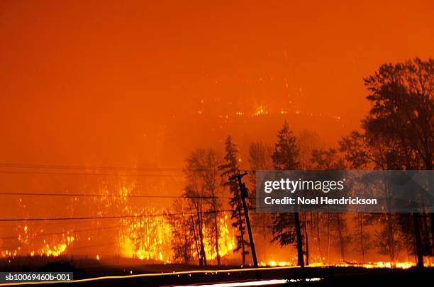 canada, british columbia, forest fire at night - bc wildfire stockfoto's en -beelden