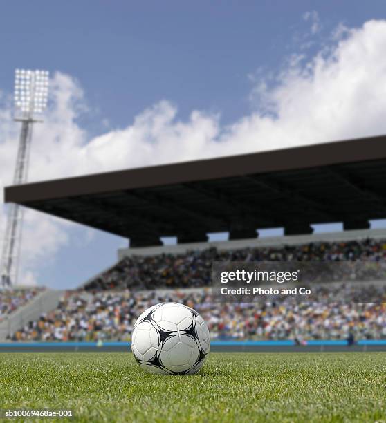 soccer ball on grass in stadium - bola de futebol imagens e fotografias de stock