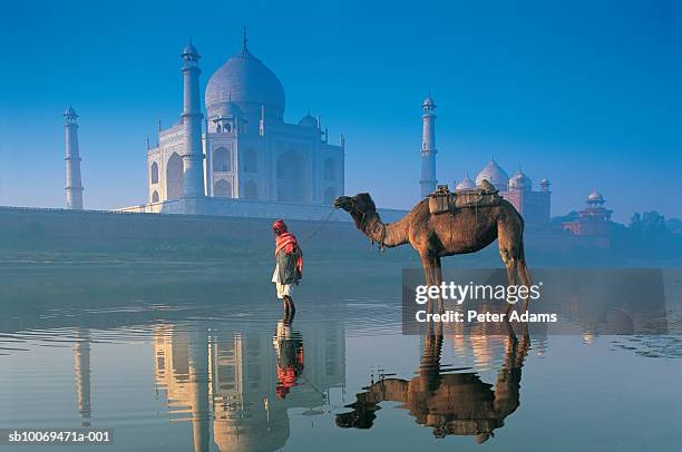 man with camel in front of taj mahal - indian tradition stock pictures, royalty-free photos & images