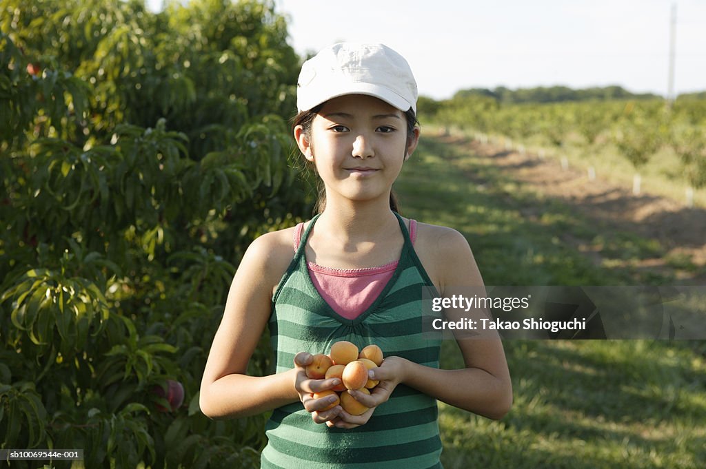 Portrait of girl (10-11) in orchard with handful of apricots