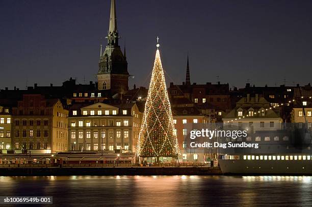 sweden, stockholm, illuminated christmas tree at harbour - stockholm ストックフォトと画像