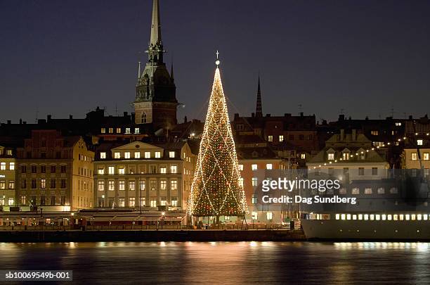 sweden, stockholm, illuminated christmas tree at harbour - stockholm city stock pictures, royalty-free photos & images
