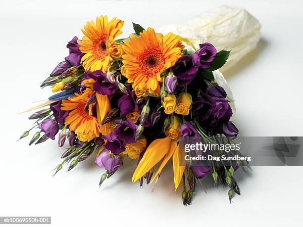 bouquet of flowers, studio shot - bunch imagens e fotografias de stock