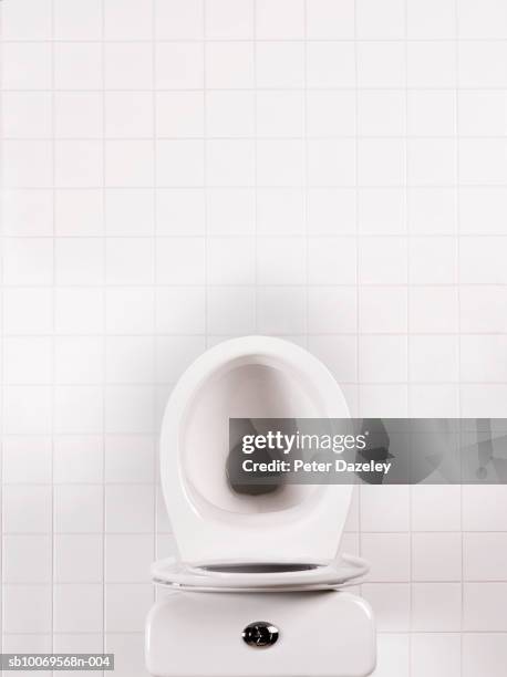 toilet bowl in bathroom, directly above - toilet bowl bathroom stock pictures, royalty-free photos & images