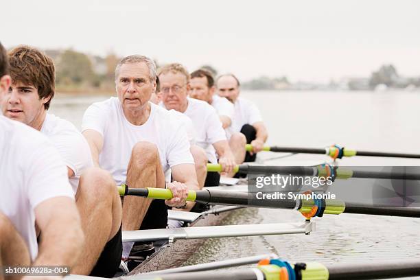 group of men rowing - coxed rowing stock pictures, royalty-free photos & images