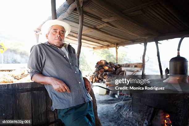 mexico, oaxaca, man standing by distilling equipment under roof, portrait - agave 個照片及圖片檔