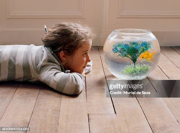 girl (10-11) lying on floor and watching goldfish in bowl - home aquarium photos et images de collection