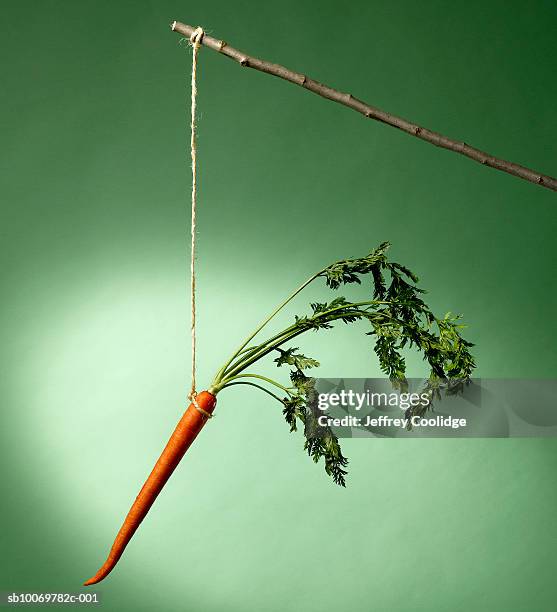 carrot on stick, studio shot - anreiz stock-fotos und bilder