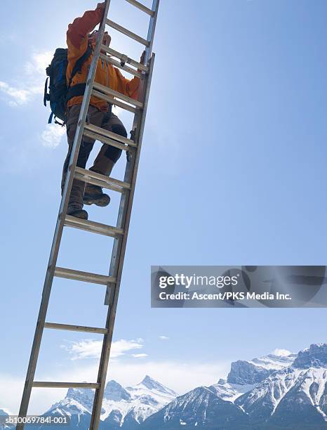 mountaineer climbing ladder - agility ladder stock pictures, royalty-free photos & images