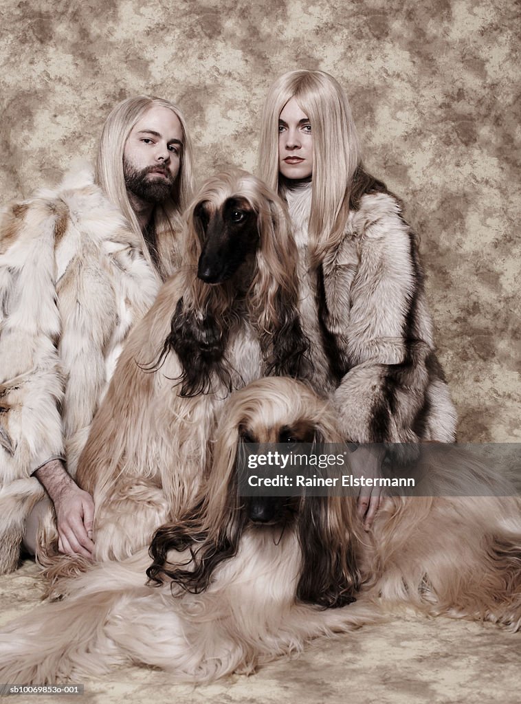 Couple with long blond hair sitting with two Afgan Hounds in studio, portrait