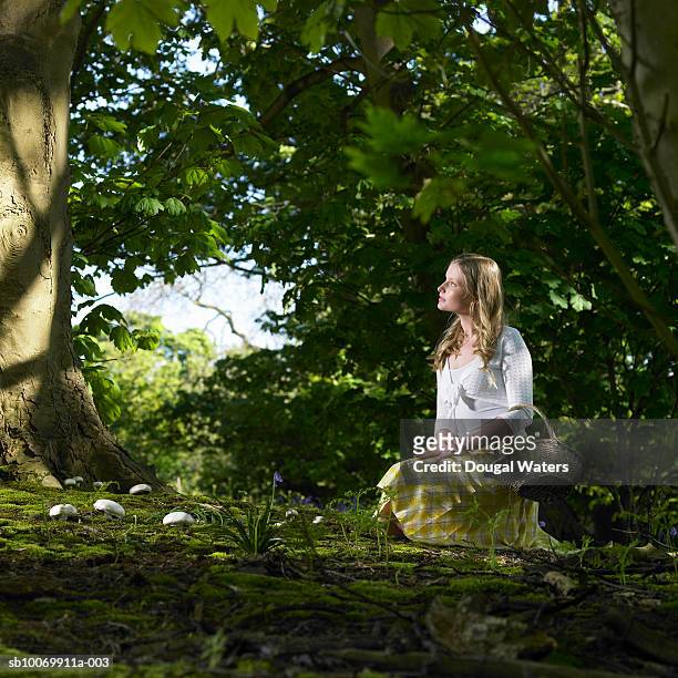 teenage girl (16-17) kneeling in bluebell wood and holding basket - bluebell woods imagens e fotografias de stock