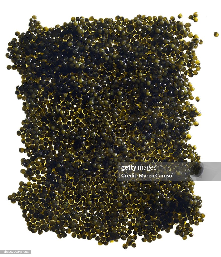 Caviar spread into square shape