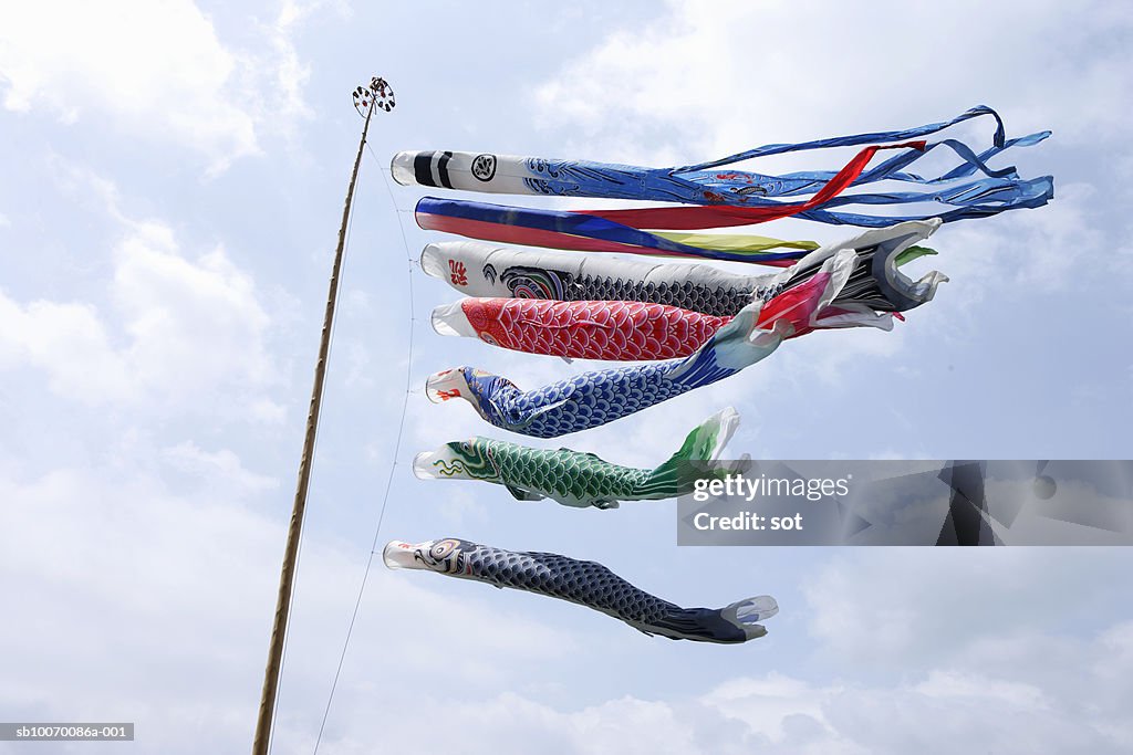 Carp streamer blowing in wind, low angle view