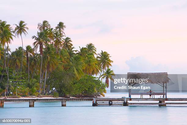 tobago, pigeon point, woman sitting under thatched canopy on wooden jetty, rear view - trinidad and tobago stock pictures, royalty-free photos & images