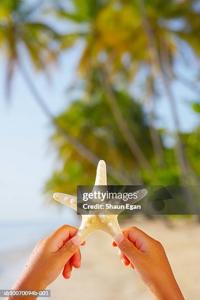 girl (6-7) holding up starfish, close up of hands - starfish holding hands stock pictures, royalty-free photos & images