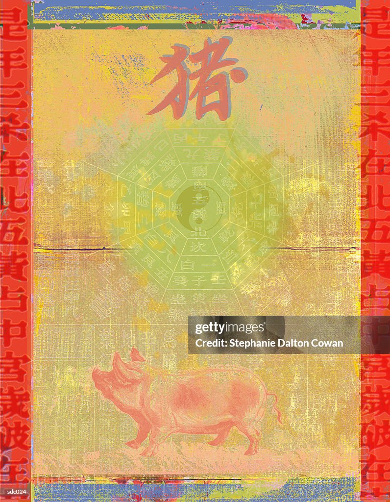 Year of the Pig