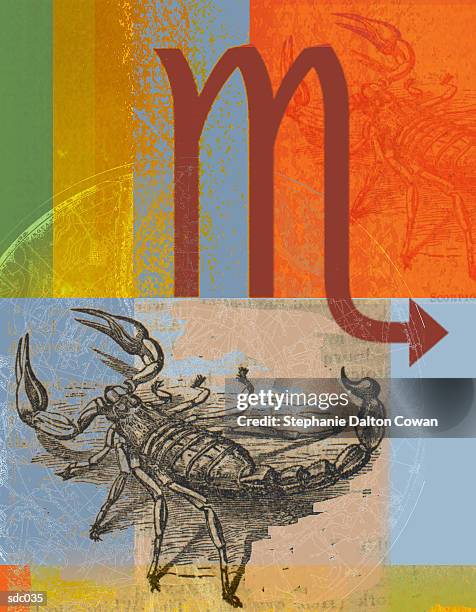 stockillustraties, clipart, cartoons en iconen met scorpio the scorpion - arachnid