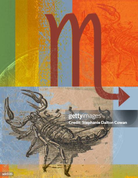 scorpio the scorpion - zodiac water sign stock illustrations