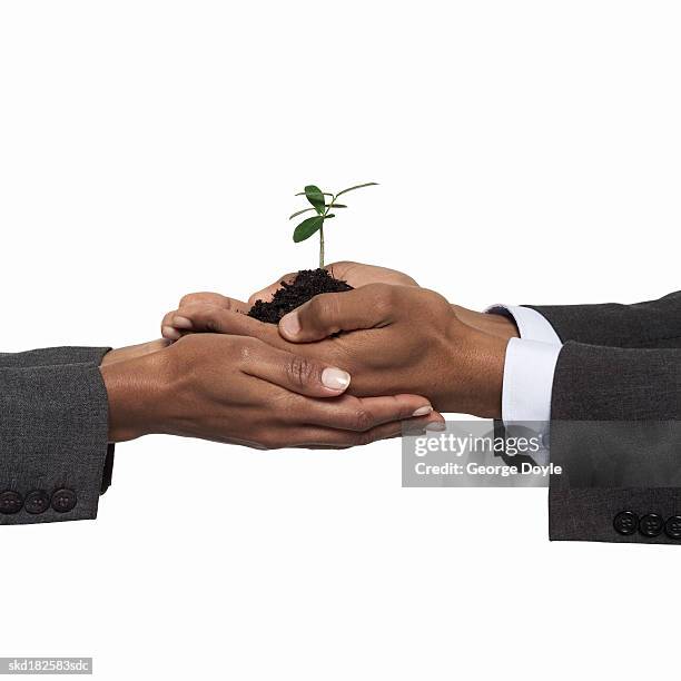 close up view of a hand holding a tiny plant - pflanzliches entwicklungsstadium stock-fotos und bilder
