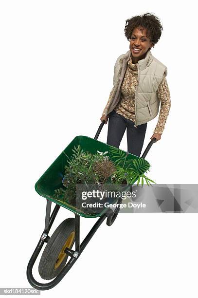 elevated view of a woman wheeling a wheelbarrow full of plants - wheeling imagens e fotografias de stock