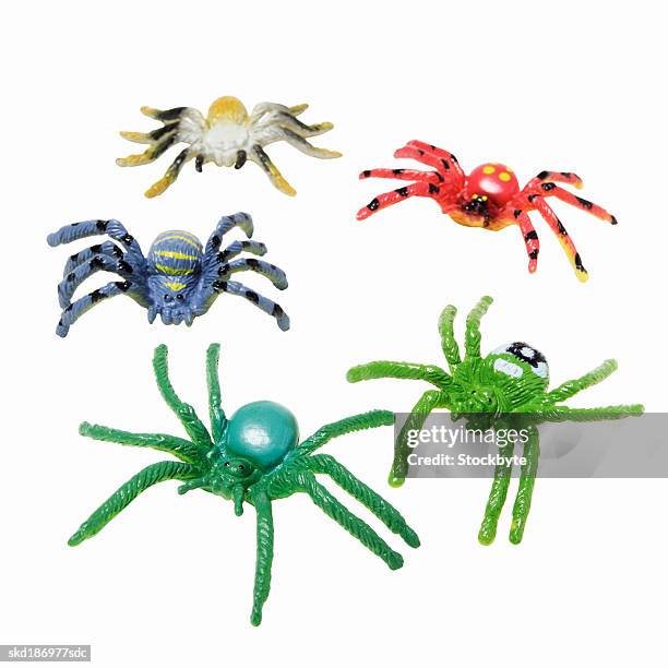 close up of toy plastic spiders - arachnid stockfoto's en -beelden