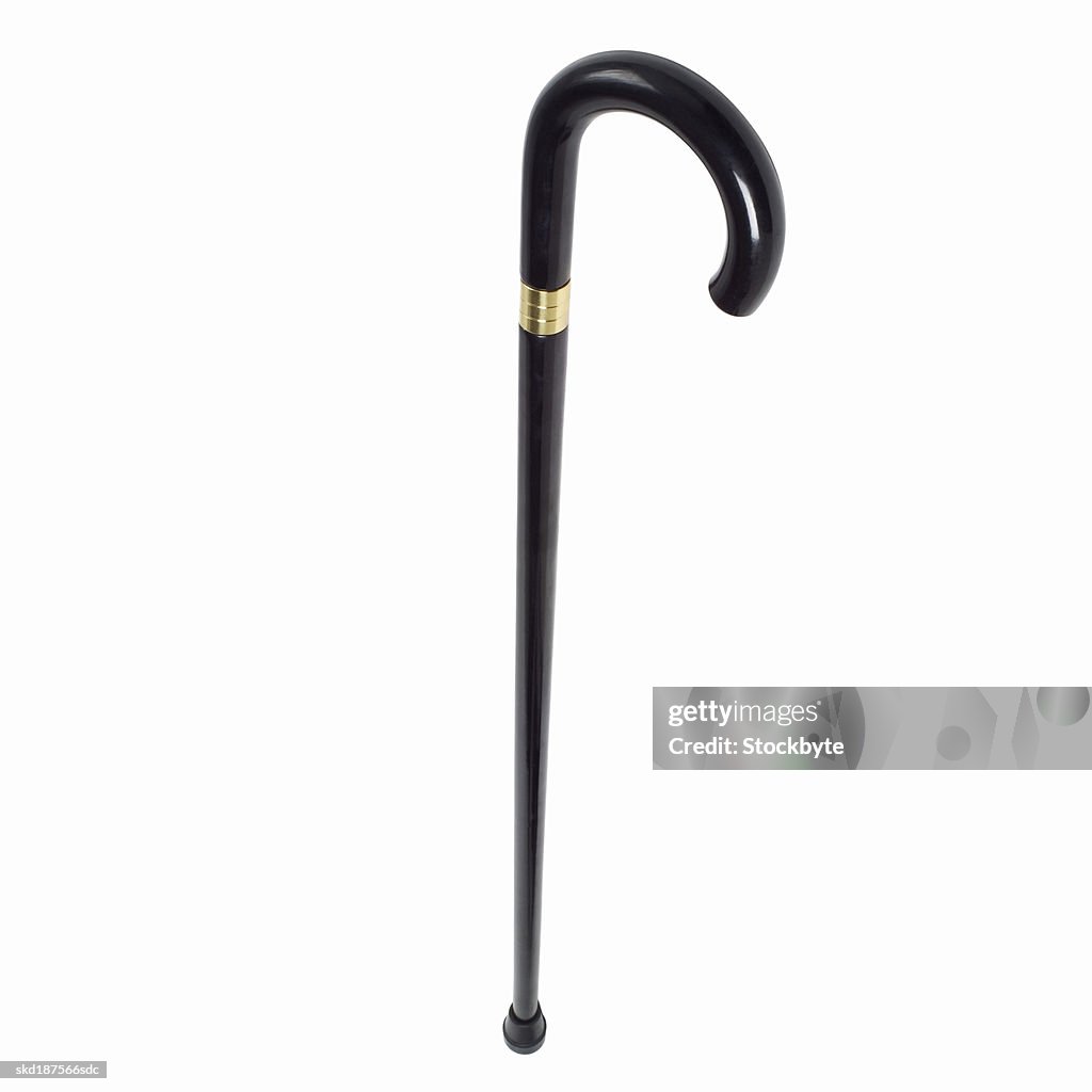 Close up of a walking stick