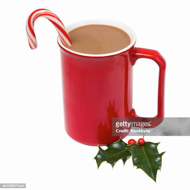 close up view of a mug of hot chocolate and a piece of holly - holly photos et images de collection
