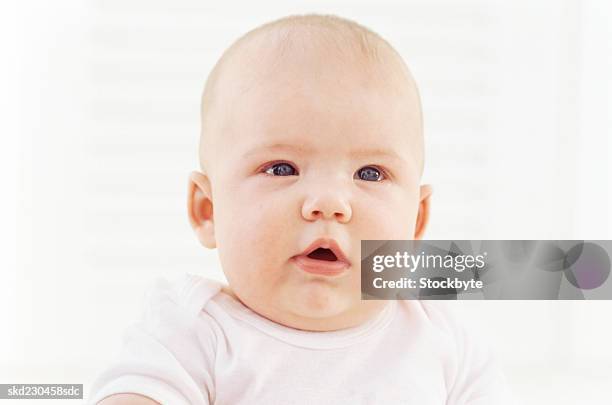 front view portrait of baby girl (6-12 months) - only baby girls stock pictures, royalty-free photos & images