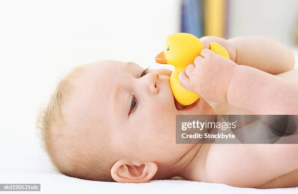 side view of baby boy holding rubber duck (6-12 months) - only baby boys stock pictures, royalty-free photos & images