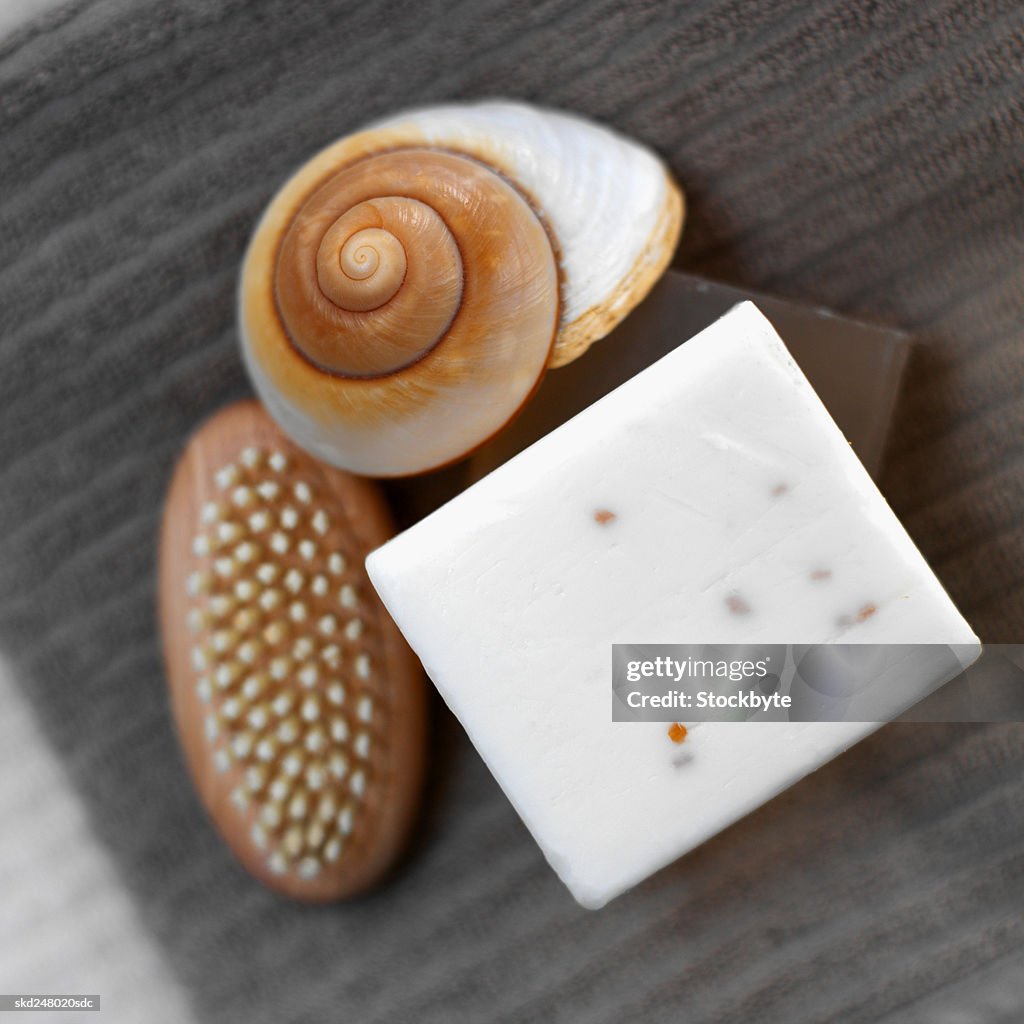 Body care brush and soap